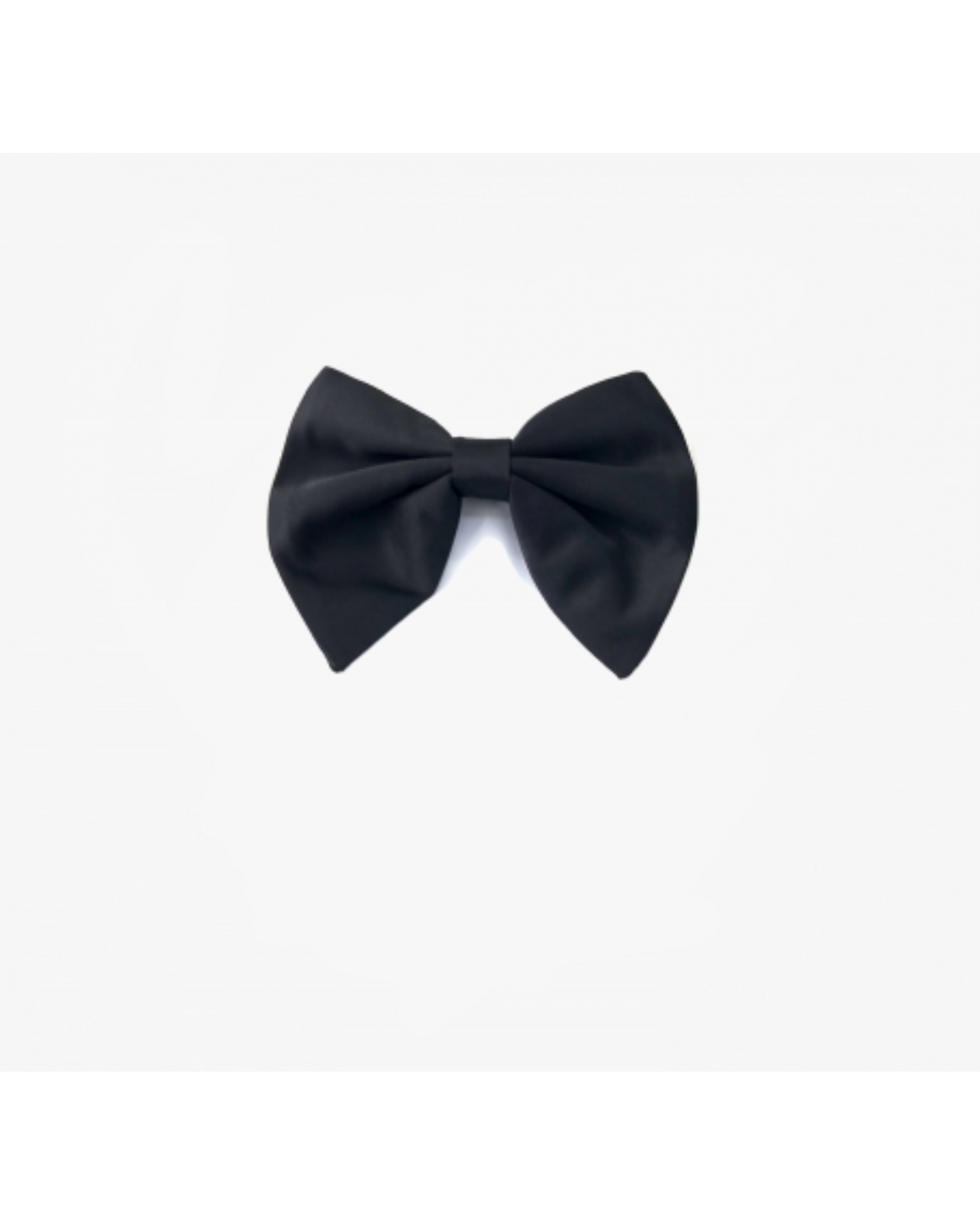 Noeud Papillon Noir GM +...