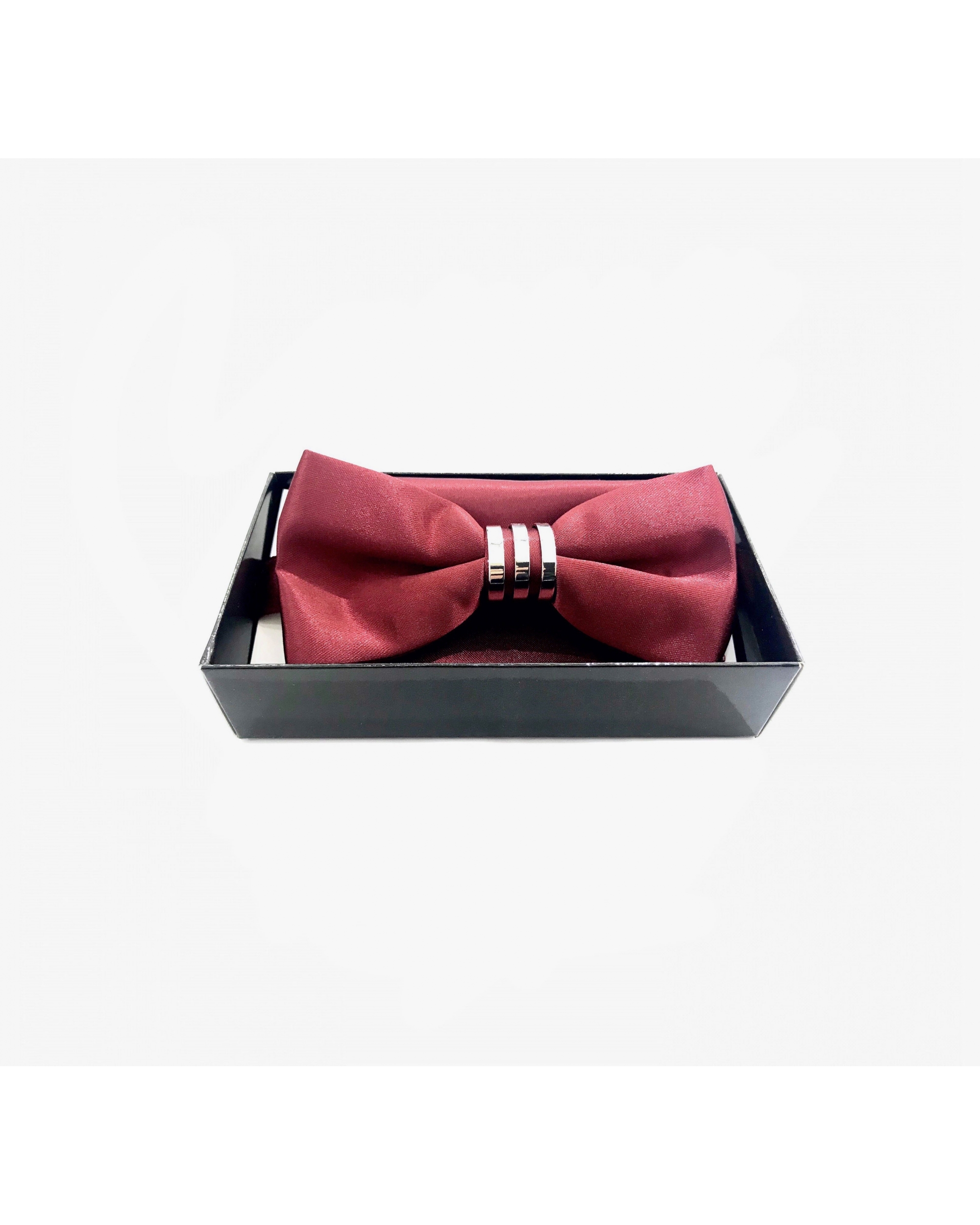 Noeud Papillon Bordeaux...